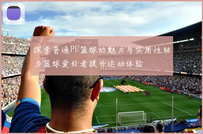 探索普通PU篮球的魅力与实用性助力篮球爱好者提升运动体验